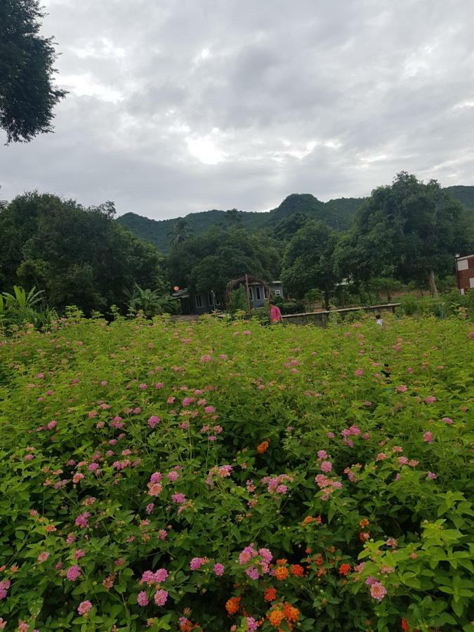 Blue Mountain Resort サイヨーク エクステリア 写真